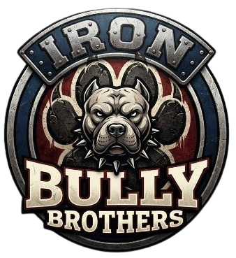 Iron Bully Brothers Junk Removal LLC logo